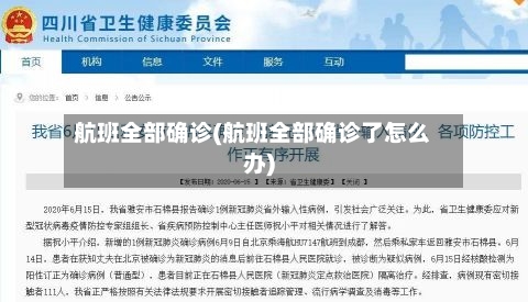 航班全部确诊(航班全部确诊了怎么办)-第2张图片