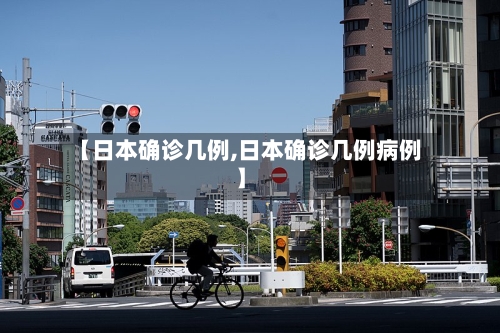 【日本确诊几例,日本确诊几例病例】