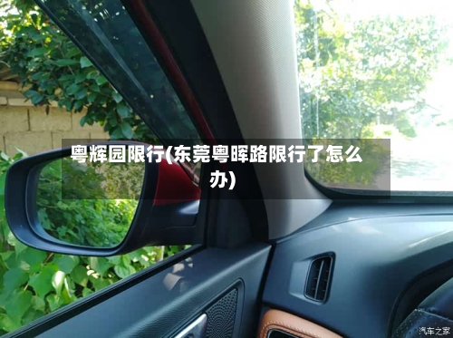 粤辉园限行(东莞粤晖路限行了怎么办)-第3张图片