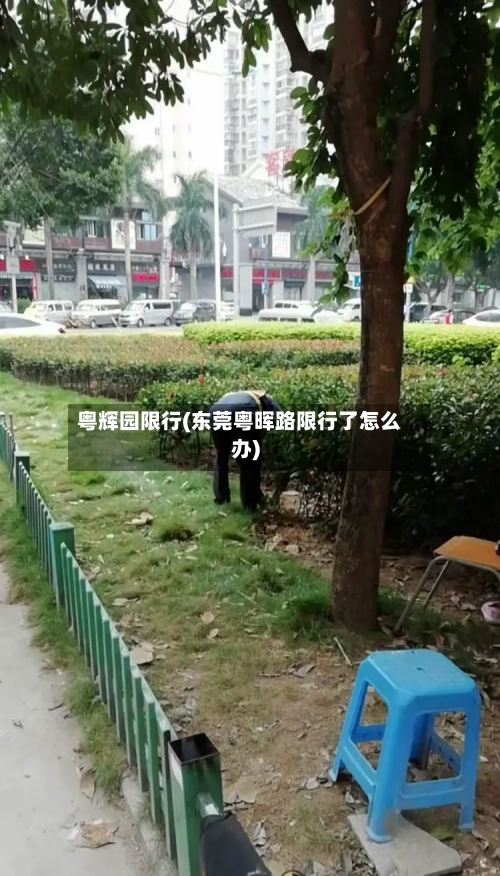 粤辉园限行(东莞粤晖路限行了怎么办)