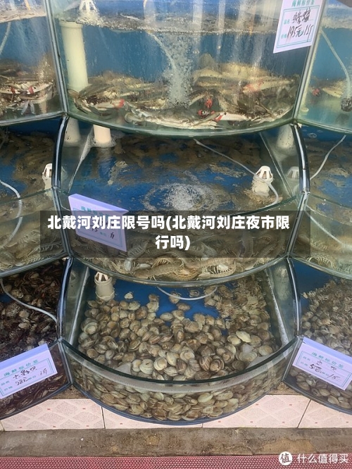 北戴河刘庄限号吗(北戴河刘庄夜市限行吗)