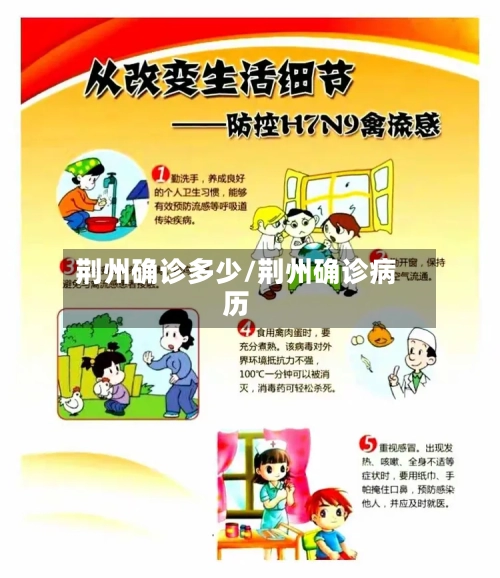 荆州确诊多少/荆州确诊病历