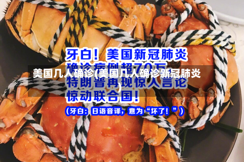 美国几人确诊(美国几人确诊新冠肺炎)-第3张图片