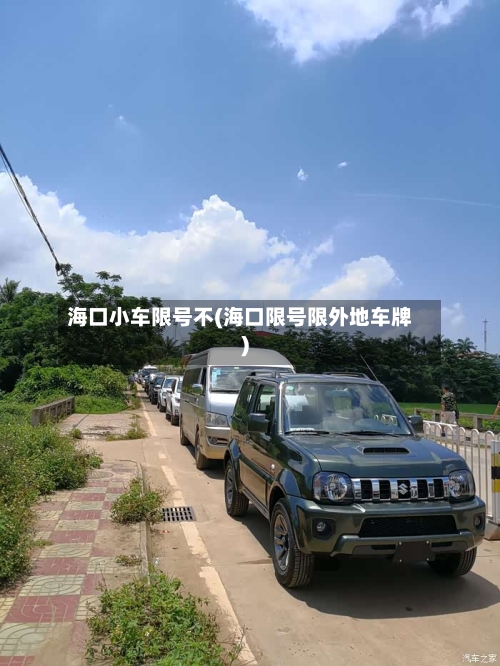 海口小车限号不(海口限号限外地车牌)-第2张图片