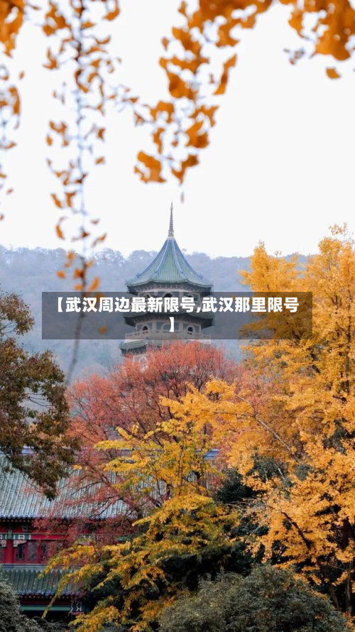 【武汉周边最新限号,武汉那里限号】