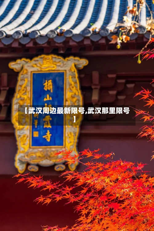 【武汉周边最新限号,武汉那里限号】-第2张图片