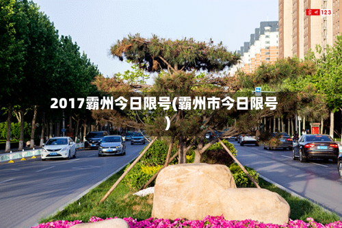 2017霸州今日限号(霸州市今日限号)