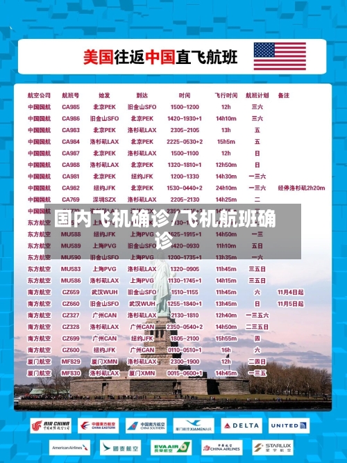 国内飞机确诊/飞机航班确诊-第3张图片