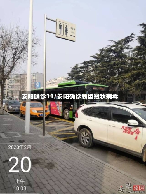安阳确诊11/安阳确诊新型冠状病毒