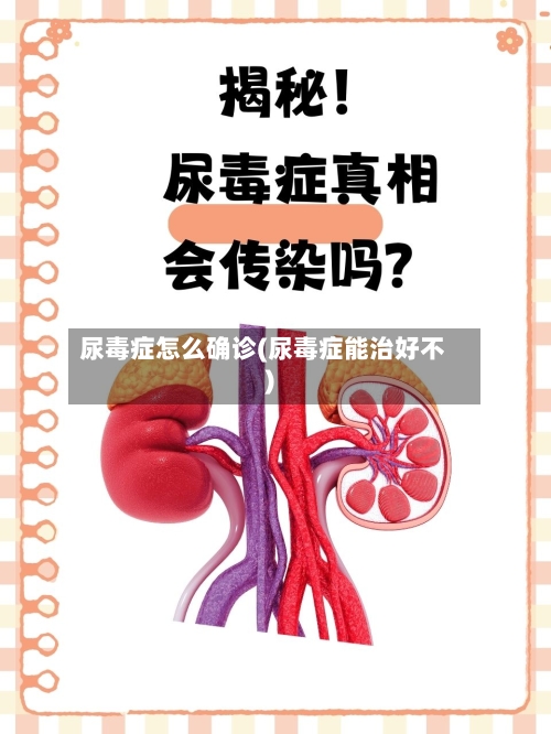 尿毒症怎么确诊(尿毒症能治好不)-第3张图片