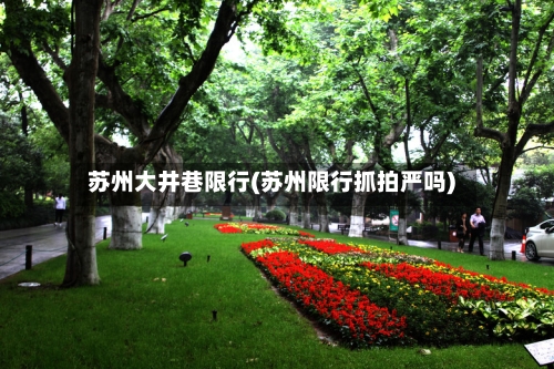 苏州大井巷限行(苏州限行抓拍严吗)-第2张图片
