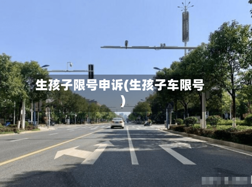 生孩子限号申诉(生孩子车限号)