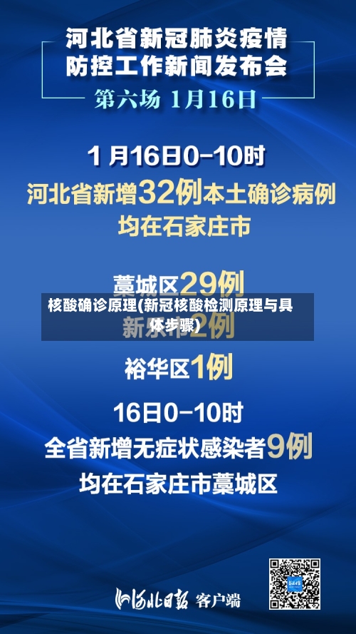 核酸确诊原理(新冠核酸检测原理与具体步骤)