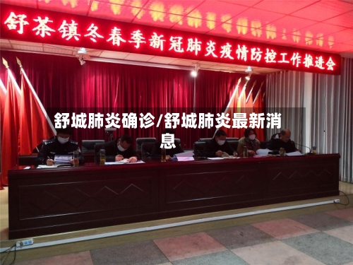 舒城肺炎确诊/舒城肺炎最新消息