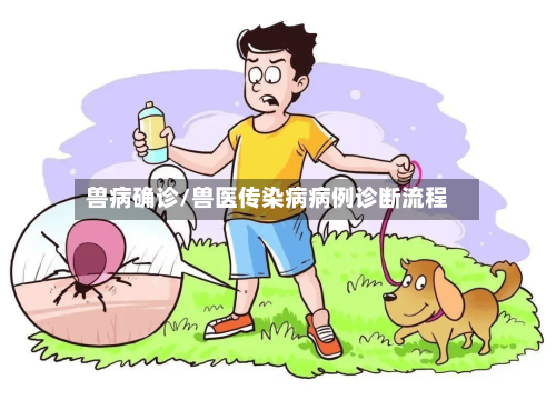 兽病确诊/兽医传染病病例诊断流程