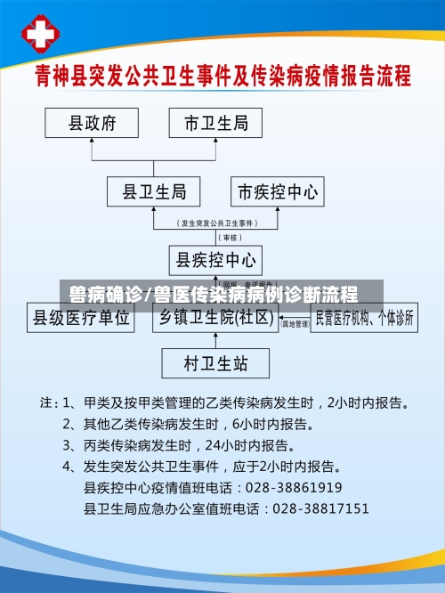 兽病确诊/兽医传染病病例诊断流程-第3张图片