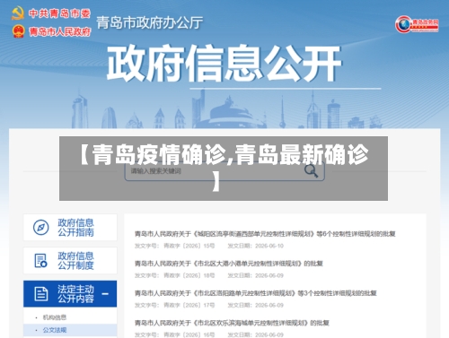 【青岛疫情确诊,青岛最新确诊】-第2张图片