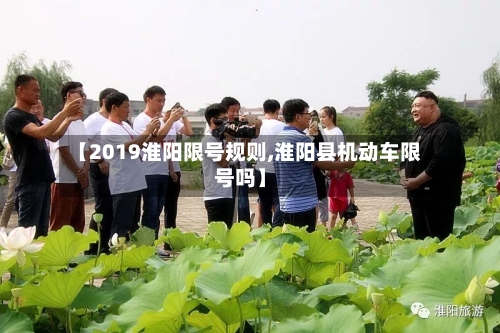 【2019淮阳限号规则,淮阳县机动车限号吗】-第2张图片