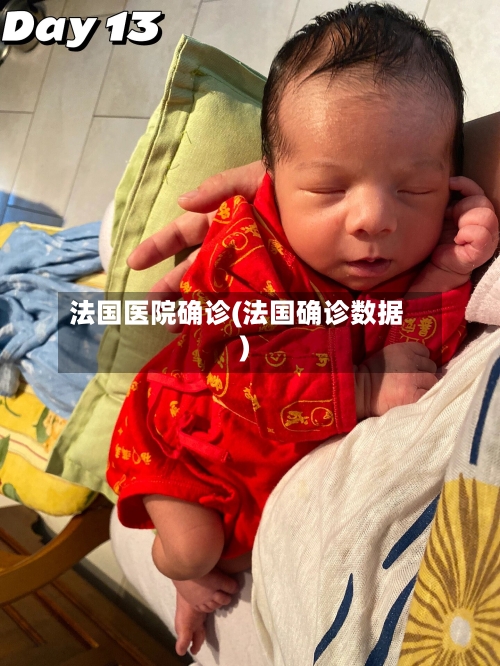 法国医院确诊(法国确诊数据)-第2张图片