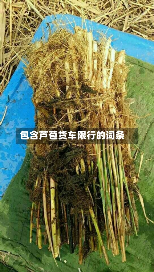 包含芦苞货车限行的词条