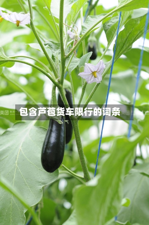 包含芦苞货车限行的词条-第2张图片