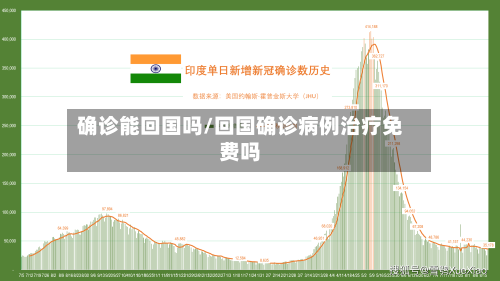 确诊能回国吗/回国确诊病例治疗免费吗