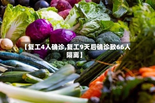 【复工4人确诊,复工9天后确诊致66人隔离】-第3张图片