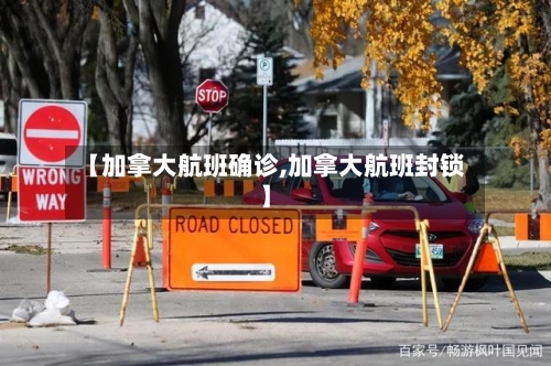 【加拿大航班确诊,加拿大航班封锁】