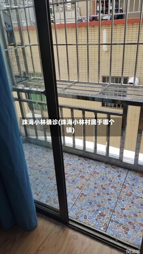 珠海小林确诊(珠海小林村属于哪个镇)