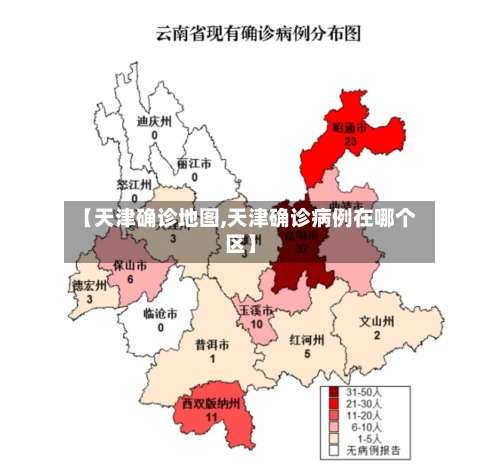 【天津确诊地图,天津确诊病例在哪个区】-第2张图片