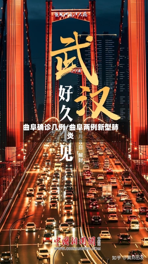 曲阜确诊几例/曲阜两例新型肺炎-第2张图片