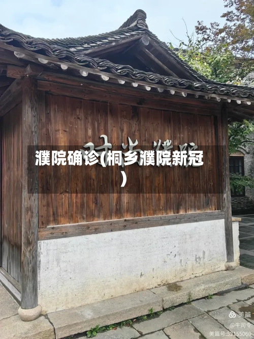 濮院确诊(桐乡濮院新冠)-第2张图片