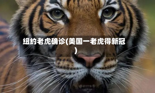 纽约老虎确诊(美国一老虎得新冠)