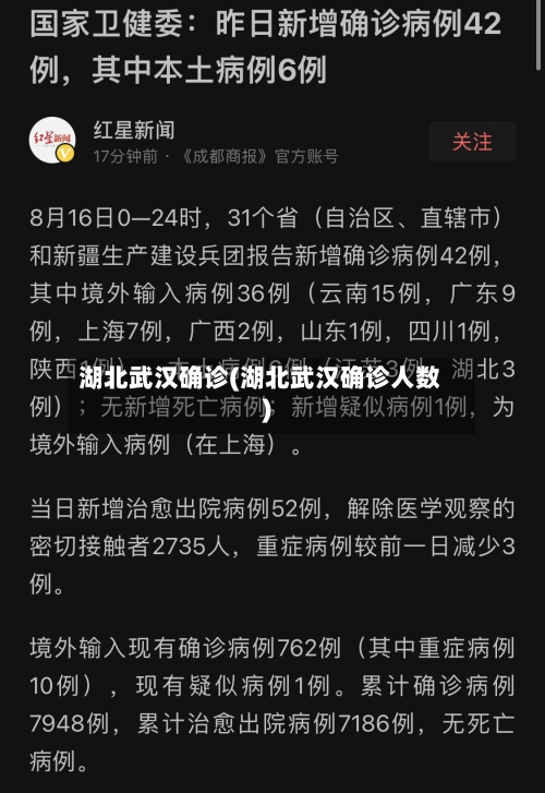 湖北武汉确诊(湖北武汉确诊人数)