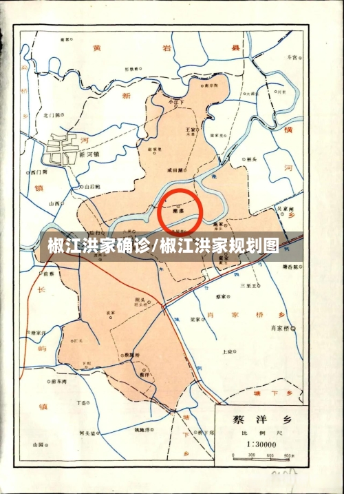 椒江洪家确诊/椒江洪家规划图-第2张图片