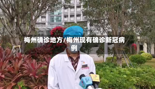 梅州确诊地方/梅州现有确诊新冠病例