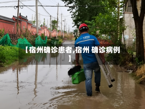 【宿州确诊患者,宿州 确诊病例】-第3张图片