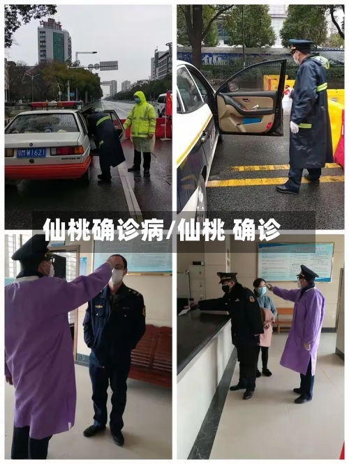 仙桃确诊病/仙桃 确诊-第3张图片