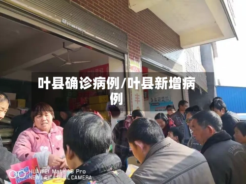 叶县确诊病例/叶县新增病例