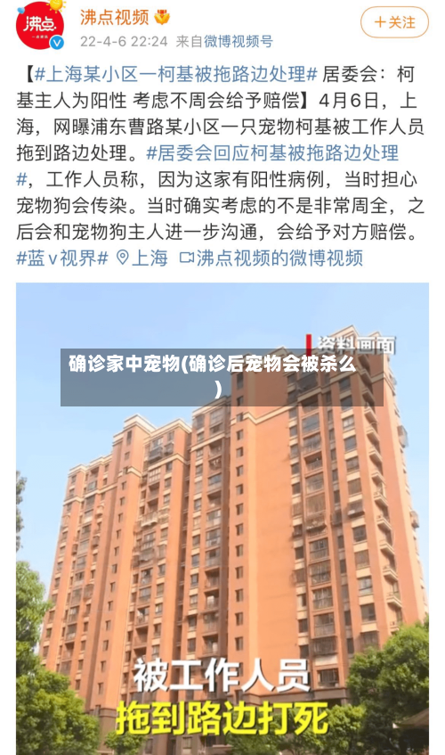 确诊家中宠物(确诊后宠物会被杀么)