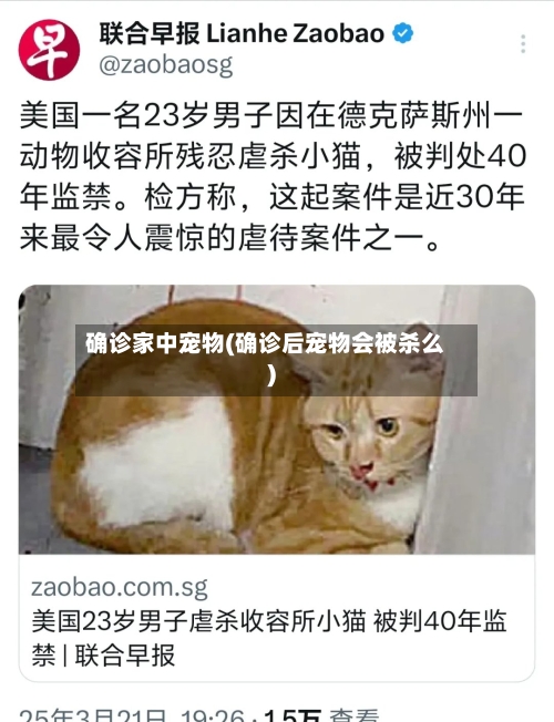 确诊家中宠物(确诊后宠物会被杀么)-第2张图片