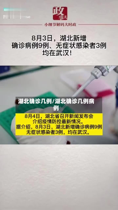 湖北确诊几例/湖北确诊几例病例-第2张图片