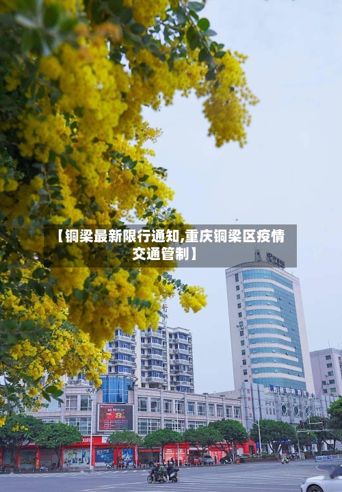 【铜梁最新限行通知,重庆铜梁区疫情交通管制】-第3张图片