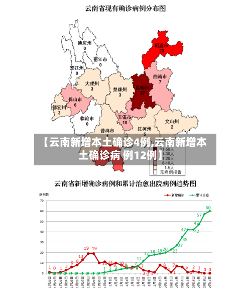 【云南新增本土确诊4例,云南新增本土确诊病 例12例】