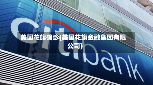 美国花旗确诊(美国花旗金融集团有限公司)-第3张图片