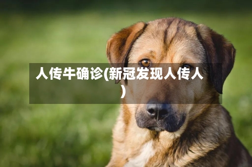 人传牛确诊(新冠发现人传人)
