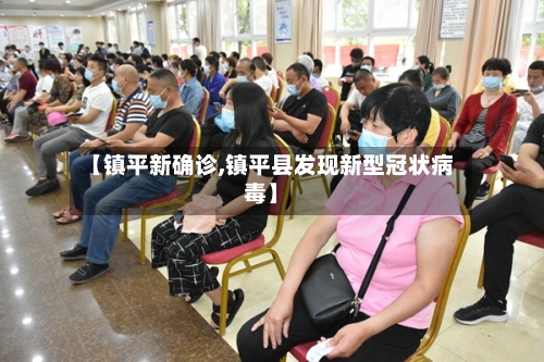 【镇平新确诊,镇平县发现新型冠状病毒】