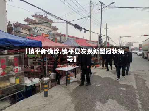 【镇平新确诊,镇平县发现新型冠状病毒】-第2张图片