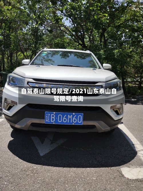 自驾泰山限号规定/2021山东泰山自驾限号查询