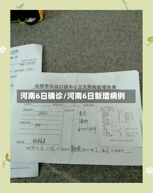 河南6日确诊/河南6日新增病例